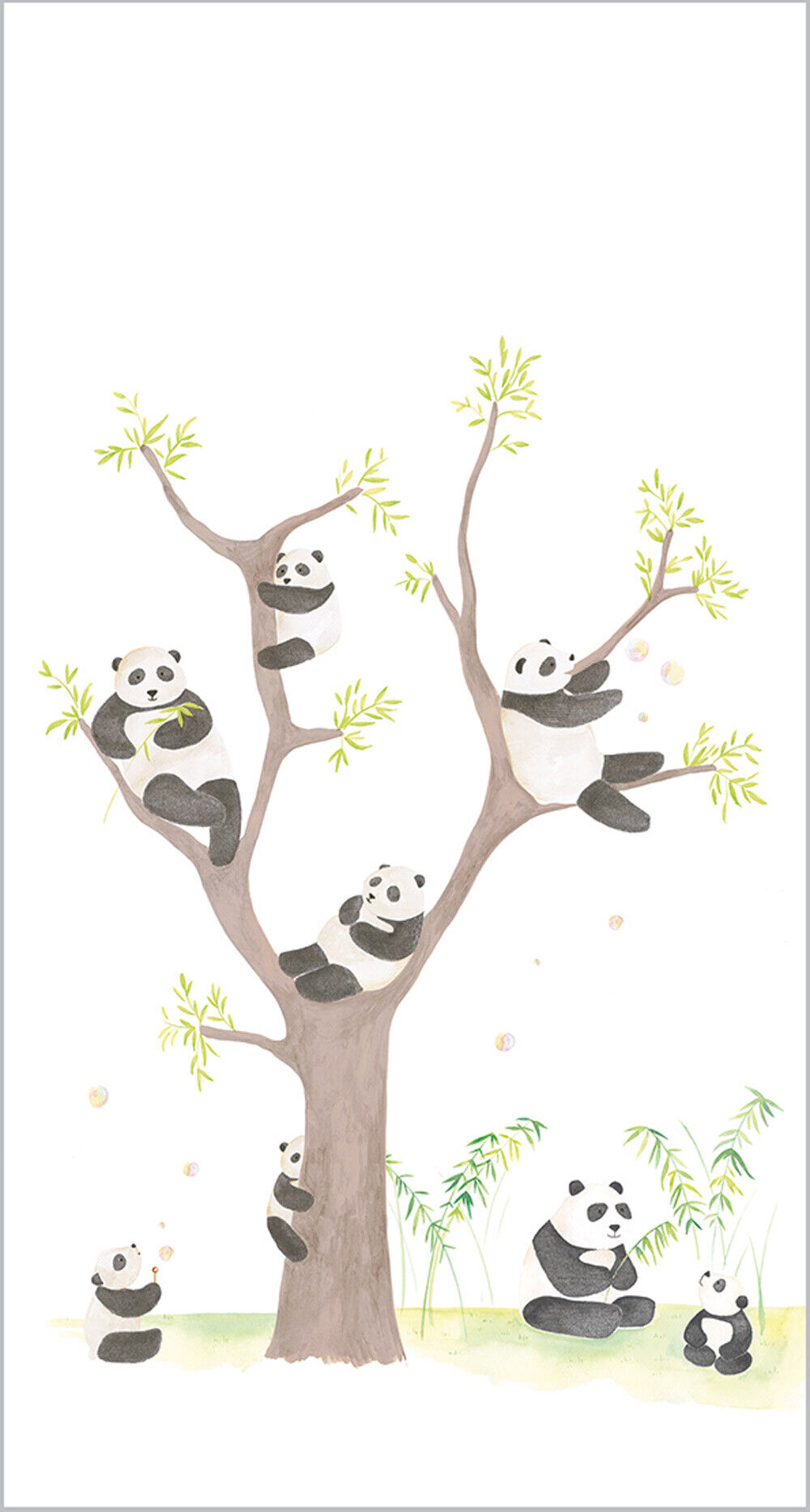 Wandbild Panda-Bär Creme-36-AEP28169401