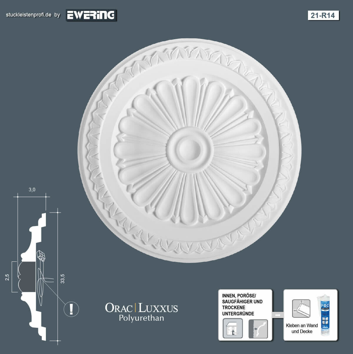 Rosette R14 Orac Decor Stuckelement-R14