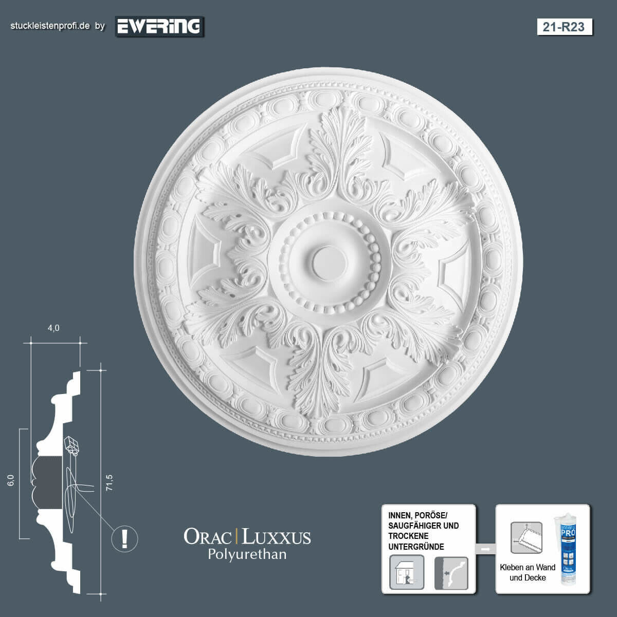 Rosette R23 Orac Decor Stuckelement-R23