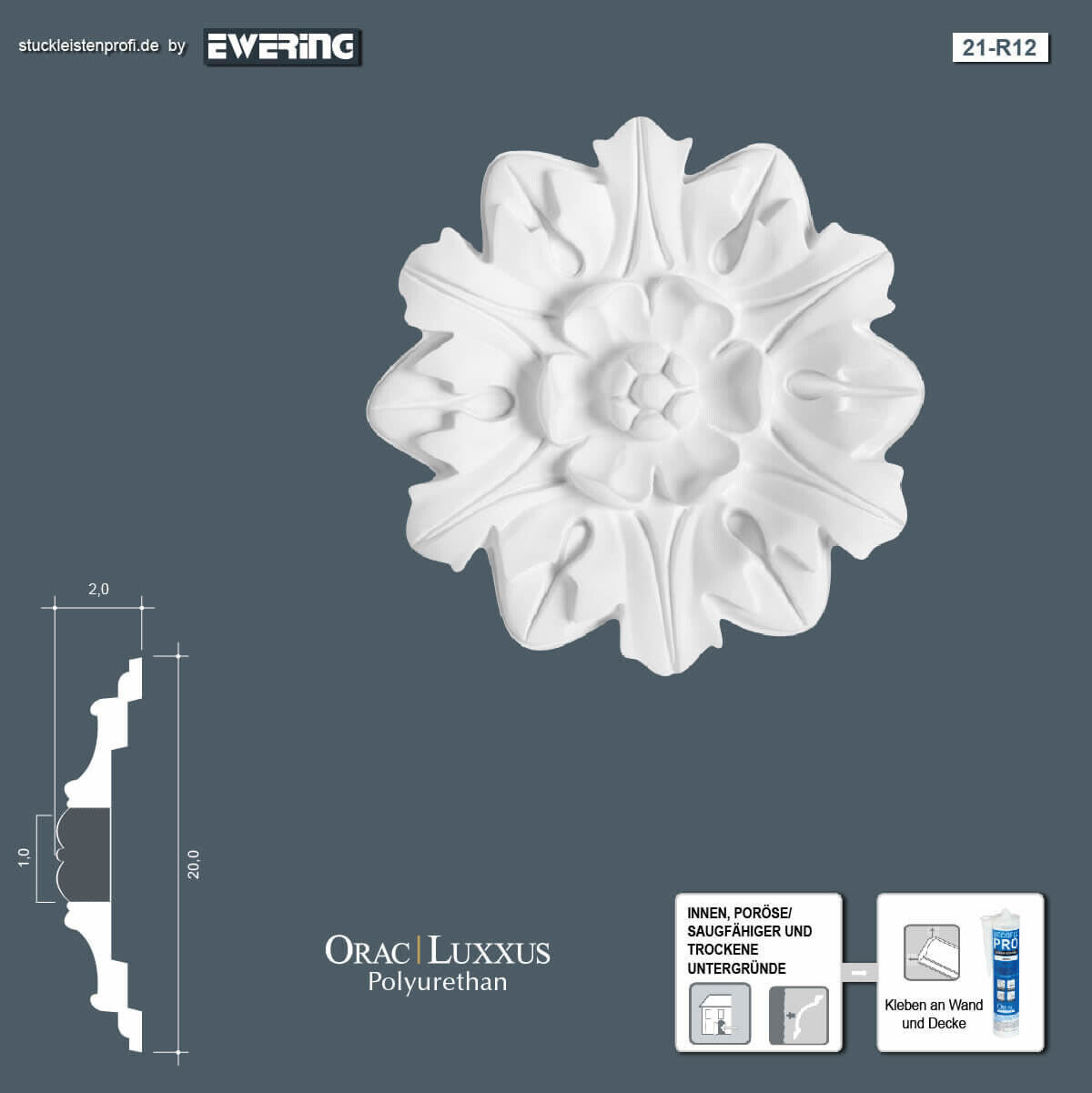 Rosette R12 Orac Decor Stuckelement-R12