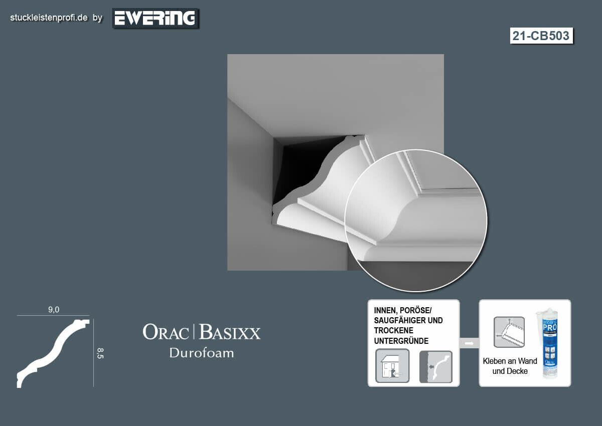 16er Stuckleisten Box CB503 Deckenleiste Orac Decor Stuckleiste-CB503-VE